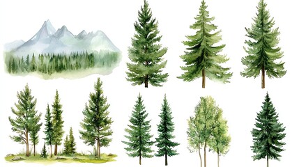 Fototapeta premium Watercolor Forest Illustration with Pine Trees and Mountain Landscape