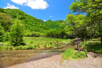 栃木県日光市　光徳沼の風景