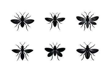 Silhouettes of various insect species on a white background