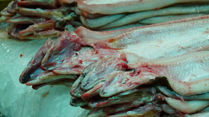 상점에 진열된 장어