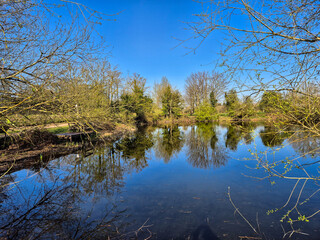 Spring landscape with reflection on water over Iremongers Pond near the river Trent in Nottingham, UK.