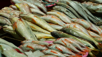 상점에 진열된 각종 바닷물고기