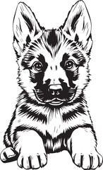 German Shepherd puppy. Hand drawn vector illustration