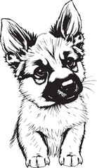 German Shepherd puppy. Hand drawn vector illustration