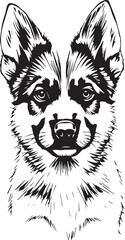 German Shepherd puppy. Hand drawn vector illustration