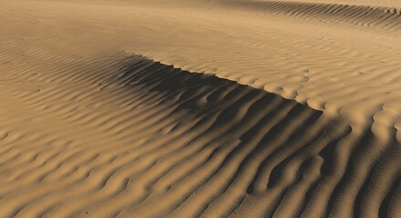 Obraz premium Desert's Whisper at Dusk AI Generated