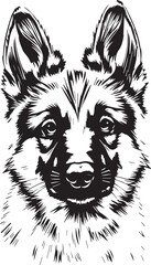 German Shepherd puppy. Hand drawn vector illustration