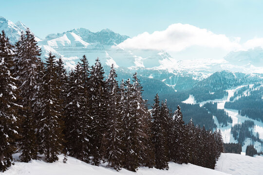 Photo of the view from Fortini cab on Groste