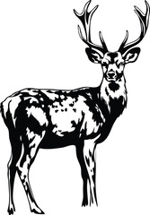 Majestic Stag Silhouette Elegant Deer, Antlered Creature, Wild Animal Art