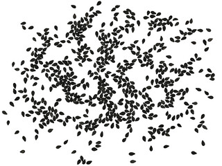 Scattered black Sesame Seeds isolated on a transparent background. Completely in focus. Full depth of field. Top view. PNG.