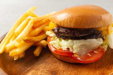 Cheeseburger with Cheese on a Burger