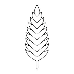 Fototapeta premium Pine Leaf Vector Illustration – Minimalist Botanical Clipart on White Background