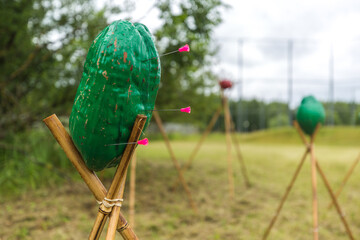 Outdoor archery target shaped like a green cucumber with pink suction cup darts stuck in it