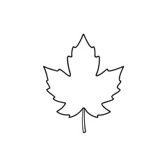 Sycamore Leaf Vector – Detailed Illustration, Silhouette, Outline Clipart