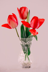 Obraz premium Red Tulips In A Vase At A Village Spring Show In Oxfordshire