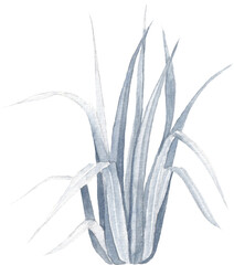 Blue grass watercolour illustration