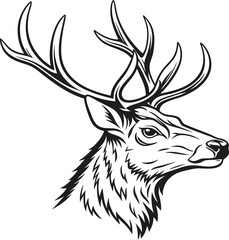 Obraz premium Majestic Stag Head Profile, Antlered, Wild, Nature, Wildlife, Graphic, Vintage, Black, White, Illust