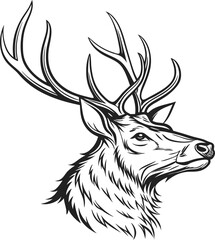 Obraz premium Majestic Stag Head Profile Antlers, Fur, Wildlife, Nature, Design