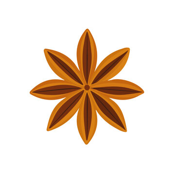 brown star anise spice isolated clip art preview