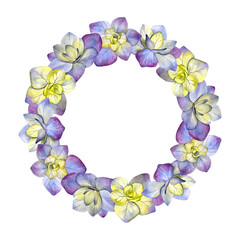 Hydrangea wreath. Watercolor of summer flowers isolated on a white background. Good for postcards, invitations, greeting cards.