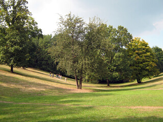 A scenic green meadow surrounded by lush trees under a bright sunny sky
