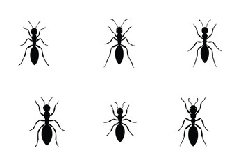Six Black Silhouettes of Ants