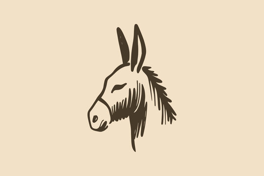 Minimalistic hand-drawn donkey head with bold brown lines on beige