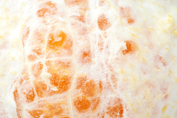 Close up Macro Shot of Textured Orange Fruit Peel Showcasing Vibrant Colors and Intricate Patterns in Natural Light