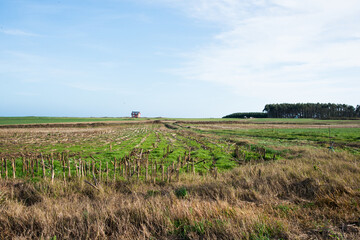 Farm house in the middle of nowhere. North of spain.