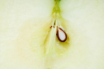Close up Macro Shot Revealing Texture of a Sliced Apple Showcasing Its Seed and Inner Details