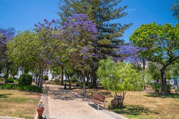 Selbstklebende Fototapeten Colourful purple jacaranda trees in a park Portimão Portugal © acceleratorhams