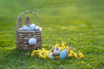 Fototapeta premium Easter eggs in basket in grass. Traditional egg hunt for spring holidays