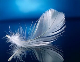 a delicate white feather rests on a smooth surface softly lit in blue highlighting its intricate details and textures