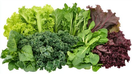 A rustic-style collection of fresh leafy greens such as lettuce, kale, and Swiss chard, isolated on a PNG background.