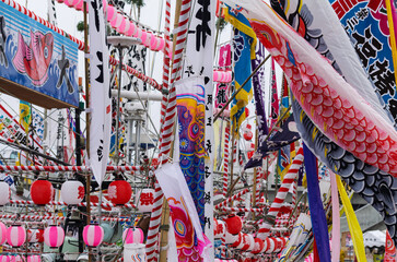 Fototapeta premium 祭り飾りの泳ぐ鯉のぼり