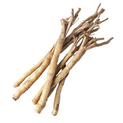 Finger root Krachai, a traditional Thai herb isolated on a white background, finger root Krachai Thai herbisolated on white background