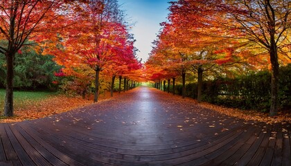 Naklejka premium autumn in the park
