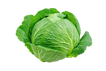 Obraz premium Whole fresh green cabbage with crisp leafy layers