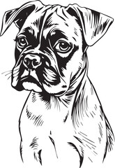 Boxer puppy. Hand drawn vector illustration