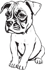Boxer puppy. Hand drawn vector illustration