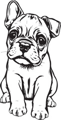 Boxer puppy. Hand drawn vector illustration