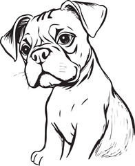Boxer puppy. Hand drawn vector illustration