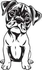 Boxer puppy. Hand drawn vector illustration