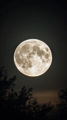 Obraz premium Full Moon Rising Over Dark Silhouetted Trees in Night Sky