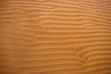 Closeup of sand ripples on a beach. Natural rhythmic wave like pattern formed by wind and water. Textured background displaying the delicate wavy texture of coastal landscape.