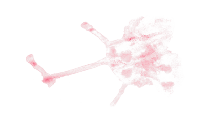 Pink hand paint watercolor stain texture background transparent