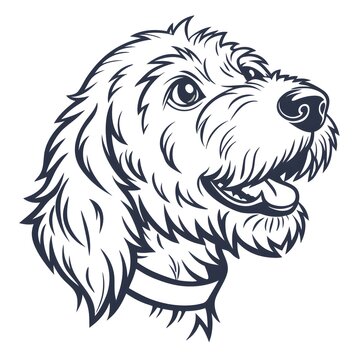 a goldendoodle head logo