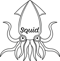 Isolated Squid Outline with Tentacles, Sea Animal with Transparent Background