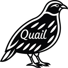 Isolated Black Quail Silhouette with Transparent Background