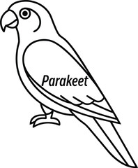 Parakeet Line Art Drawing Isolated on White Background, Detailed Bird Outline